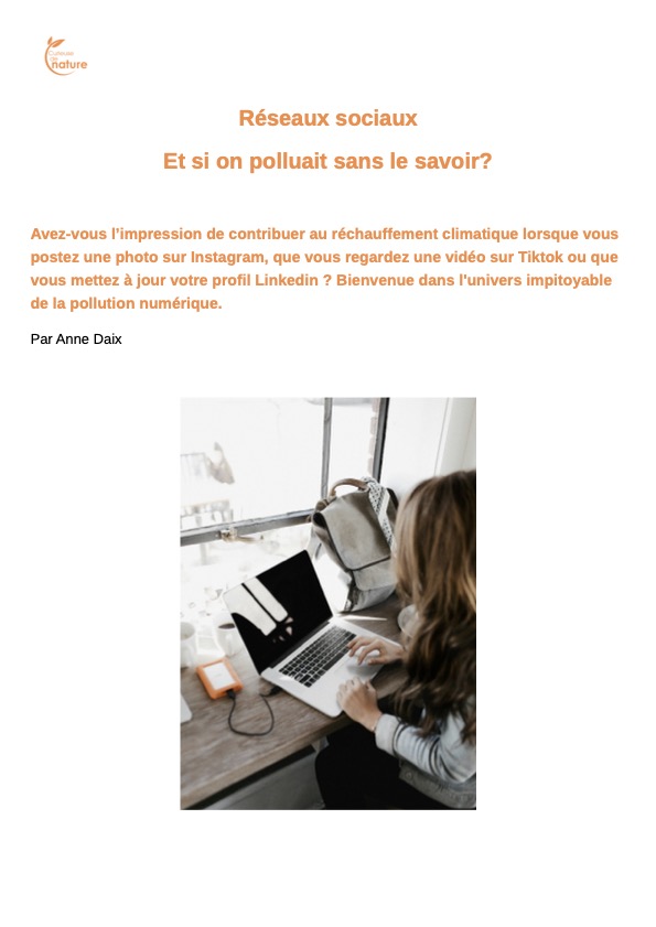 Portefolio CV Anne Daix Communication Gestion de l'environnement Blog Réseaux sociaux